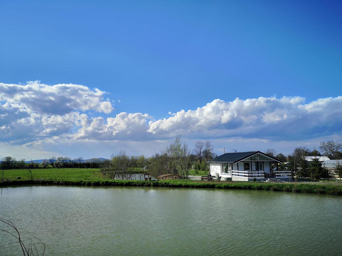 Linistea Muntilor Chalet Порумбаку де Сус Екстериор снимка