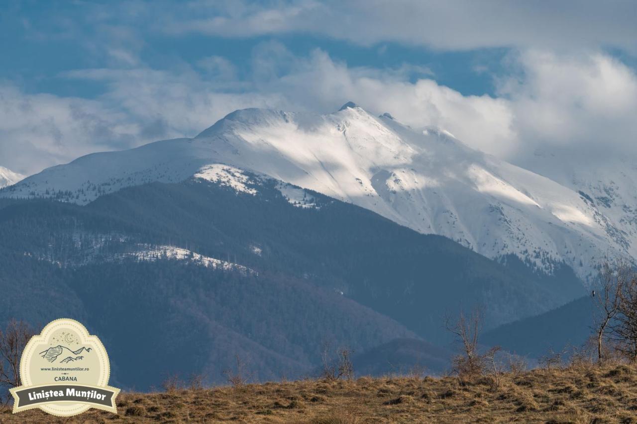 Linistea Muntilor Chalet Порумбаку де Сус Екстериор снимка