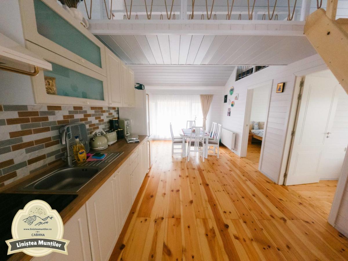 Linistea Muntilor Chalet Порумбаку де Сус Екстериор снимка