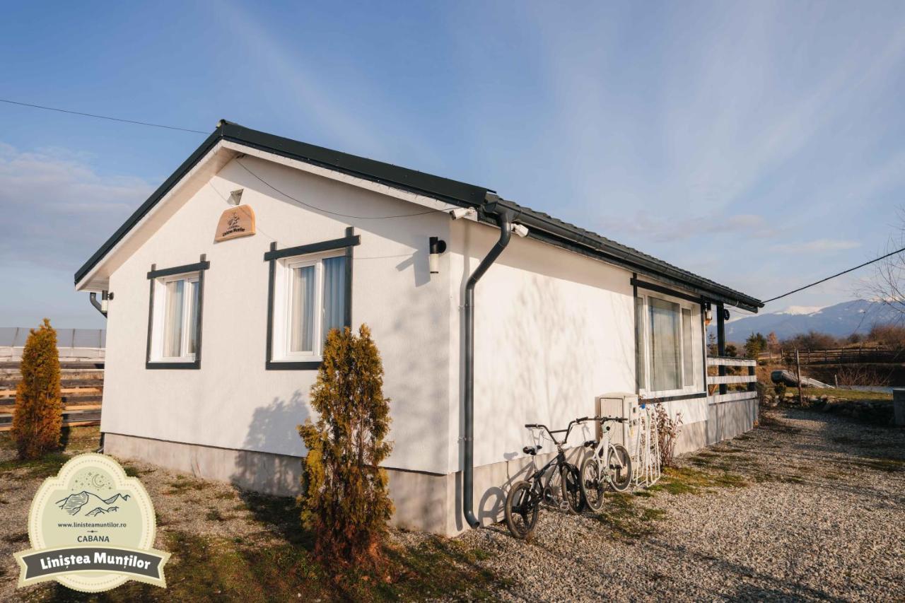 Linistea Muntilor Chalet Порумбаку де Сус Екстериор снимка