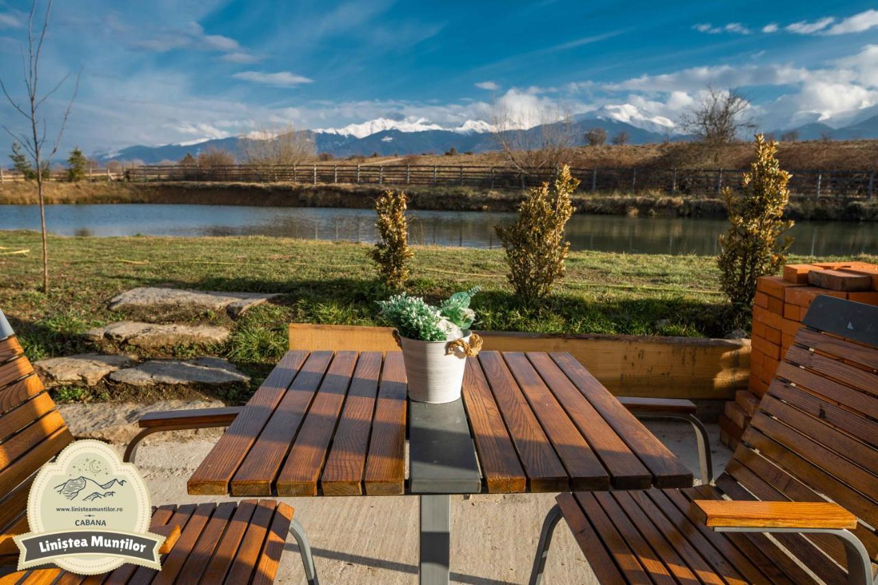Linistea Muntilor Chalet Порумбаку де Сус Екстериор снимка
