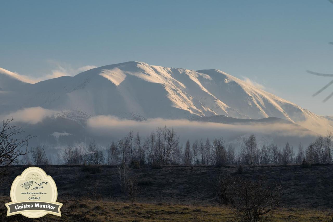 Linistea Muntilor Chalet Порумбаку де Сус Екстериор снимка