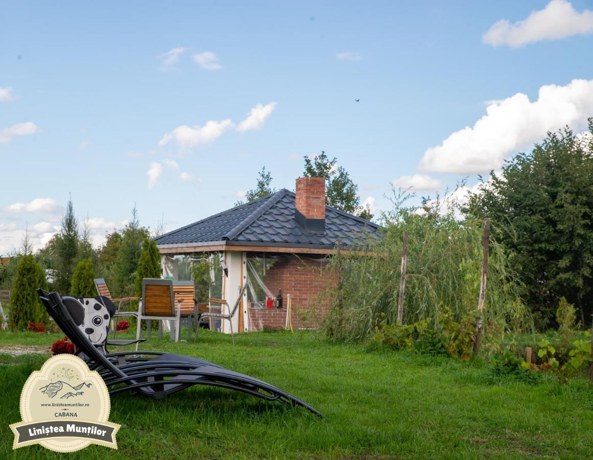 Linistea Muntilor Chalet Порумбаку де Сус Екстериор снимка